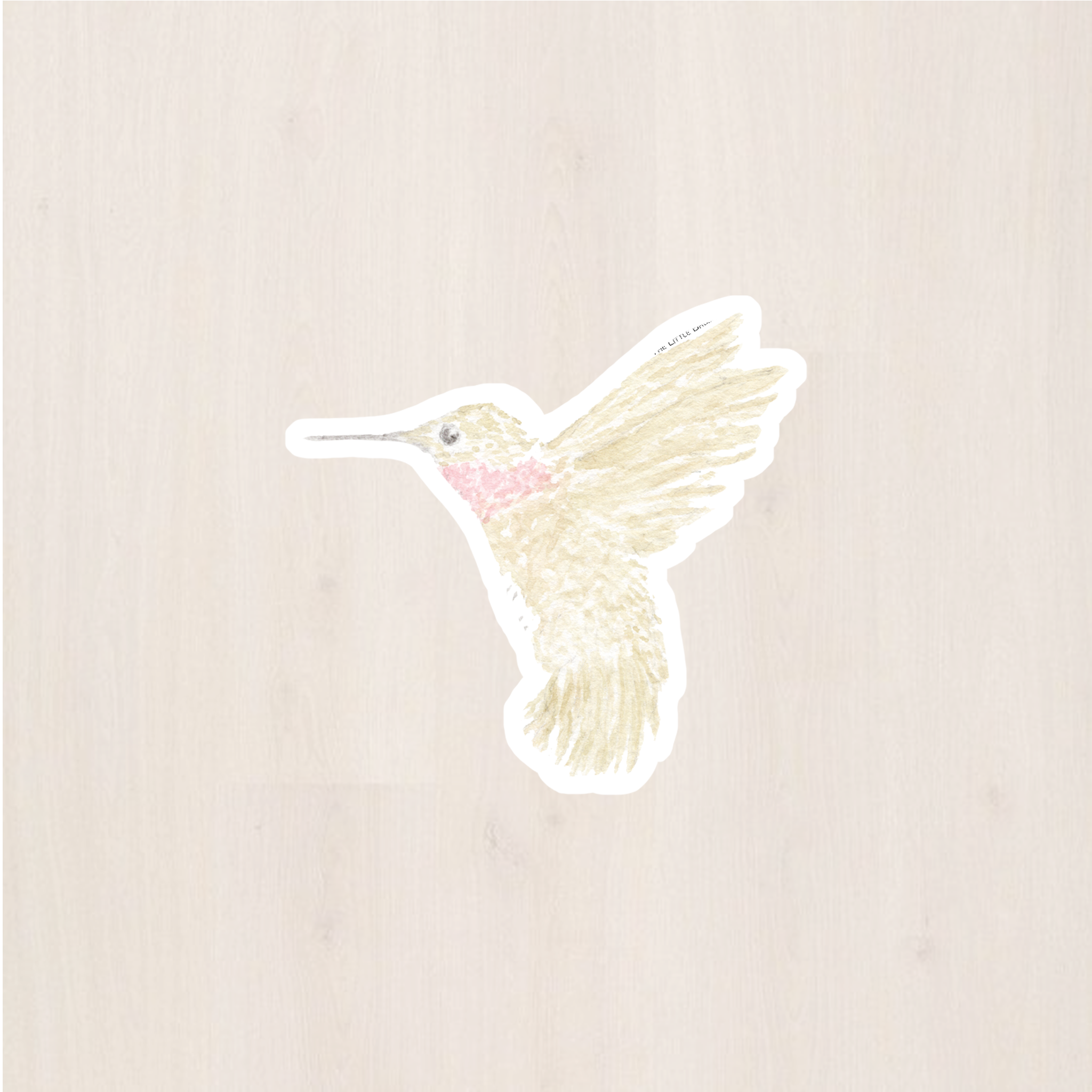 Hummingbird Sticker– Thelittlebrushshop